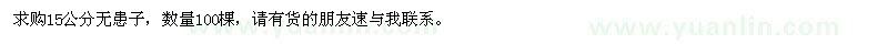 求購15公分無(wú)患子