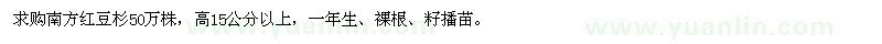 求購高15公分以上南方紅豆杉