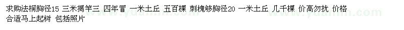 求購15公分法桐、20公分刺槐
