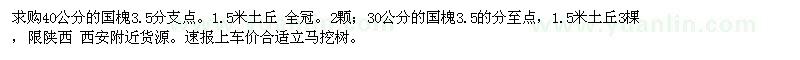 求購30、40公分國槐