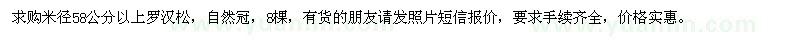 求購米徑58公分以上羅漢松