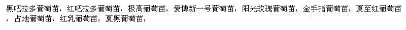 求購巨峰葡萄苗