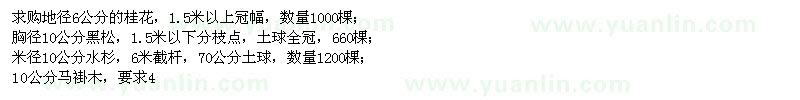 求購(gòu)桂花、黑松、水杉