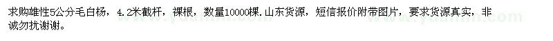 求購5公分毛白楊