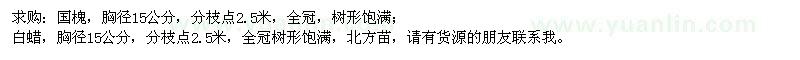 求購胸徑15公分國槐、白蠟