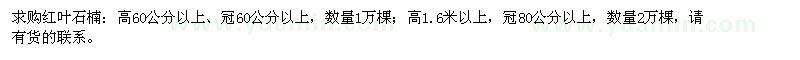 求購高60、160公分以上紅葉石楠