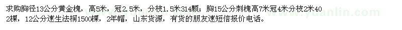 求購黃金槐、刺槐、速生法桐