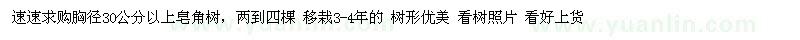 求購胸徑30公分以上皂角樹(shù)