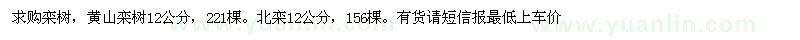 求購12公分欒樹(shù)