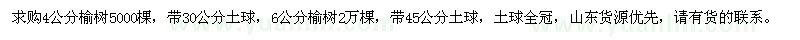 求購4、6公分榆樹(shù)