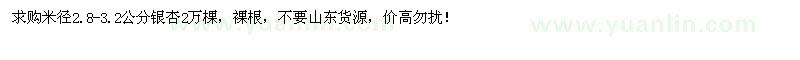 求購(gòu)米徑2.8-3.2公分銀杏