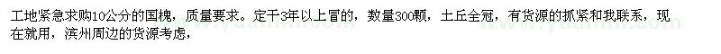 求購(gòu)10公分國(guó)槐