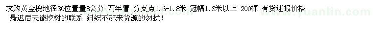 求購地徑8公分黃金槐