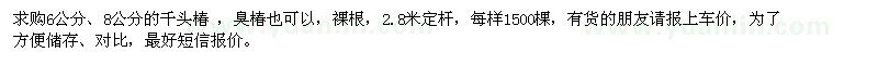 求購6公分、8公分千頭椿