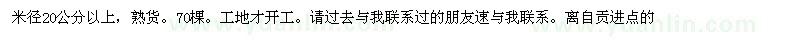 求購急需米徑20公分以上青桐70棵