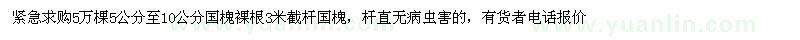求購5-10公分國槐