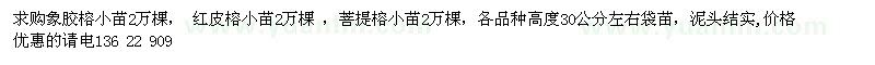 求購象膠榕小苗、紅皮榕小苗、菩提榕小苗