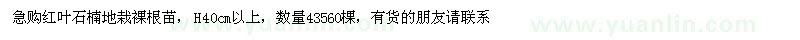求購高40公分紅葉石楠地栽裸根苗