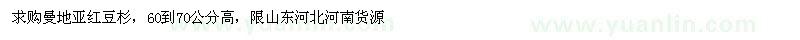 求購60-70公分曼地亞紅豆杉