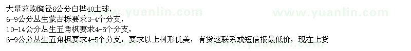 求購白樺、蒙古櫟、五角楓
