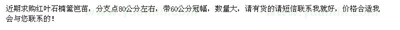 求購2公分左右紅葉石楠籬笆苗