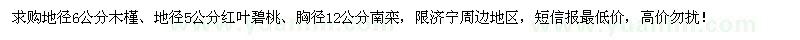求購木槿、紅葉碧桃、南欒