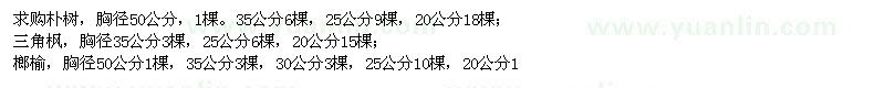 求購(gòu)樸樹、三角楓、榔榆