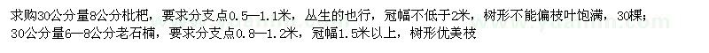 求購低桿枇杷、低桿老石楠