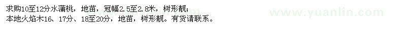 求購水蒲桃、本地火焰木