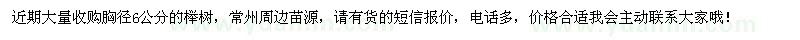 求購胸徑6公分櫸樹
