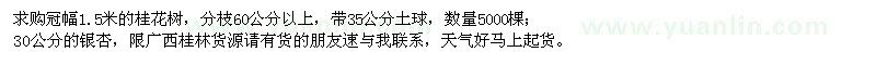 求購(gòu)冠幅1.5米桂花樹(shù)、30公分銀杏