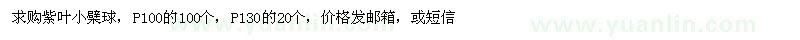 求購蓬徑100、130公分紫葉小檗球