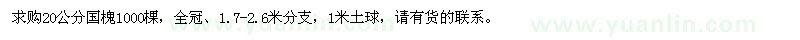 求購20公分國槐