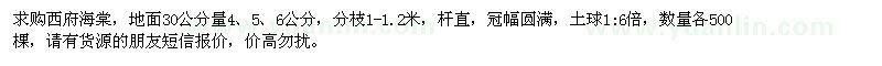 求購4、5、6公分西府海棠