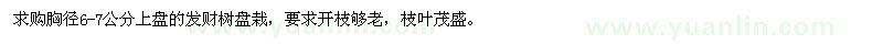 求購(gòu)胸徑6-7公分上盤(pán)發(fā)財(cái)樹(shù)
