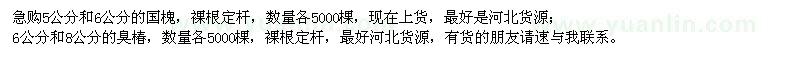 求購5、6公分國槐、6、8公分臭椿