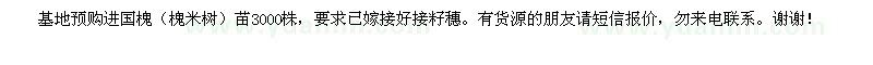 求購國槐（槐米樹）