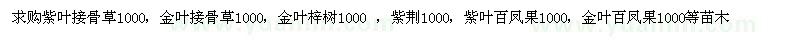 求購接骨草、金葉梓樹、紫荊