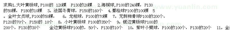 求購(gòu)黃楊球、女貞球、小檗球