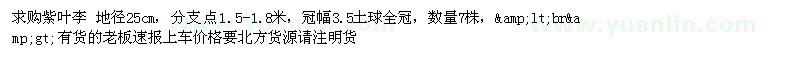 求購地徑25公分紫葉李 