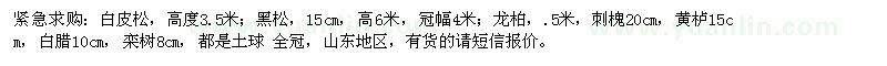 求購(gòu)白皮松、黑松、龍柏、白蠟等