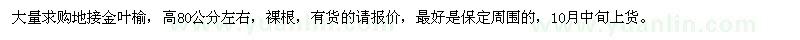 求購高80公分左右地接金葉榆
