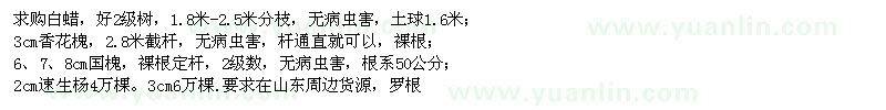 求購白蠟、香花槐、國槐