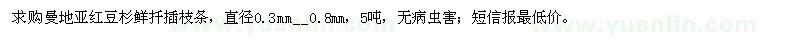 求購曼地亞紅豆杉鮮扦插枝條