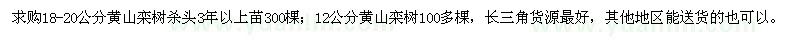 求購12、18-20公分黃山欒樹