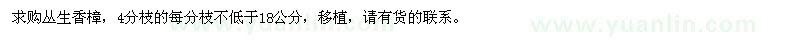求購(gòu)4分枝叢生香樟