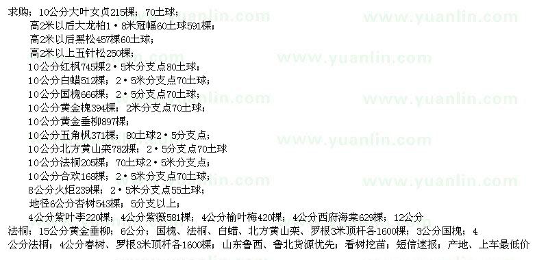 求購大葉女貞、龍柏、黑松、國槐、白蠟等