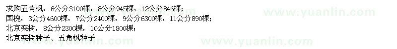 求購五角楓、國槐、北京欒樹