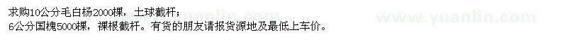 求購(gòu)10公分毛白楊、6公分國(guó)槐