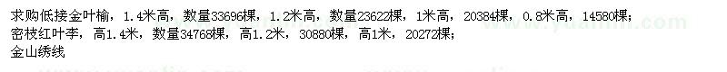 求購金葉榆、密枝紅葉李、金山繡線菊